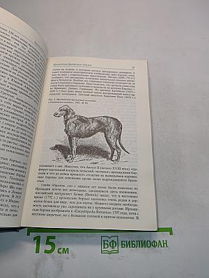 Собаки охотничьи... Борзые и гончие