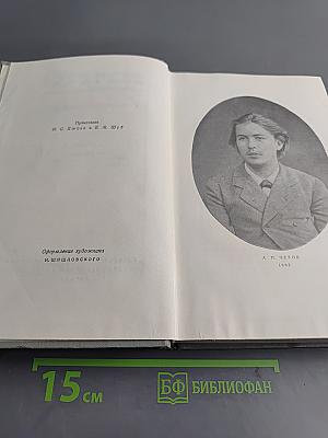 Собрание сочинений. Том второй. Рассказы 1883-1885