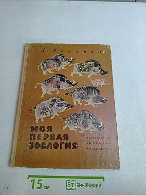 Моя первая зоология