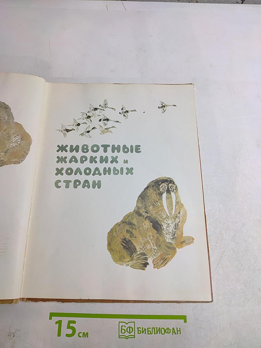 Моя первая зоология