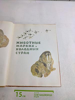 Моя первая зоология