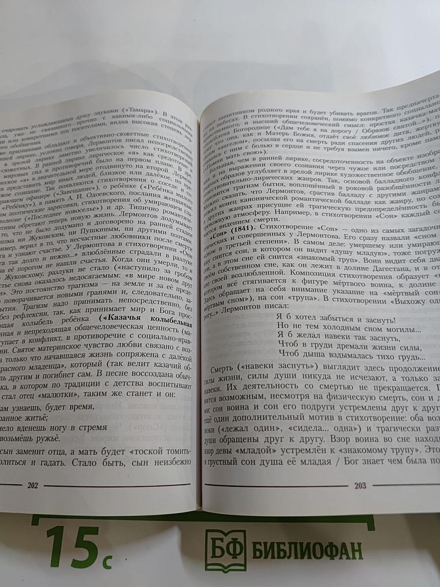 Литература 10 класс Углублённый уровень Часть 1