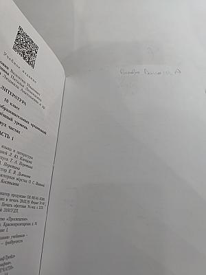 Литература 10 класс Углублённый уровень Часть 1