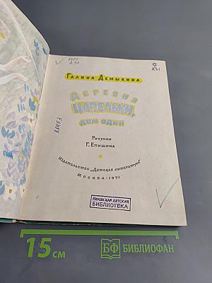 Деревня цапельки, дом один
