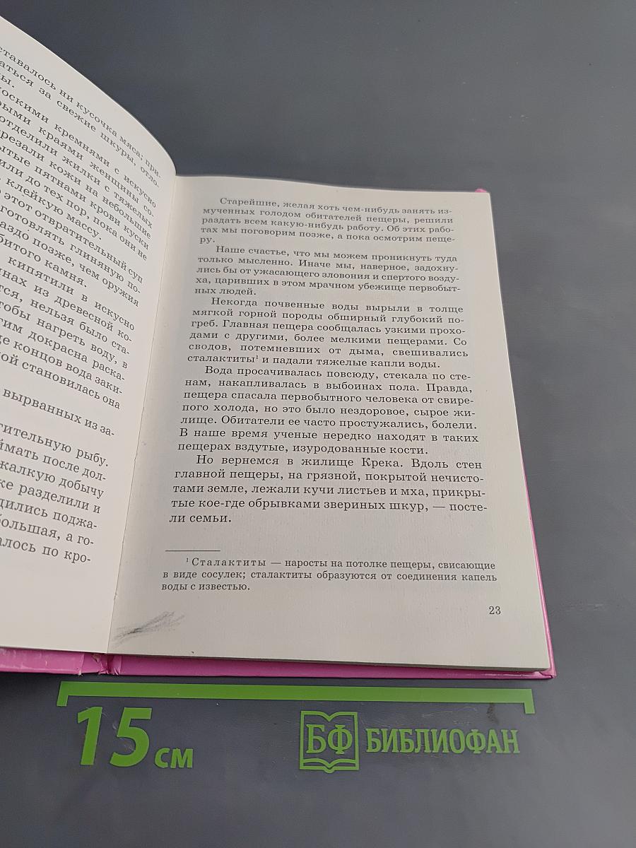 Приключения доисторического мальчика
