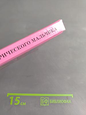 Приключения доисторического мальчика