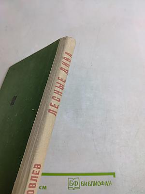 Лесные дива. Грибной календарь. Рассказы
