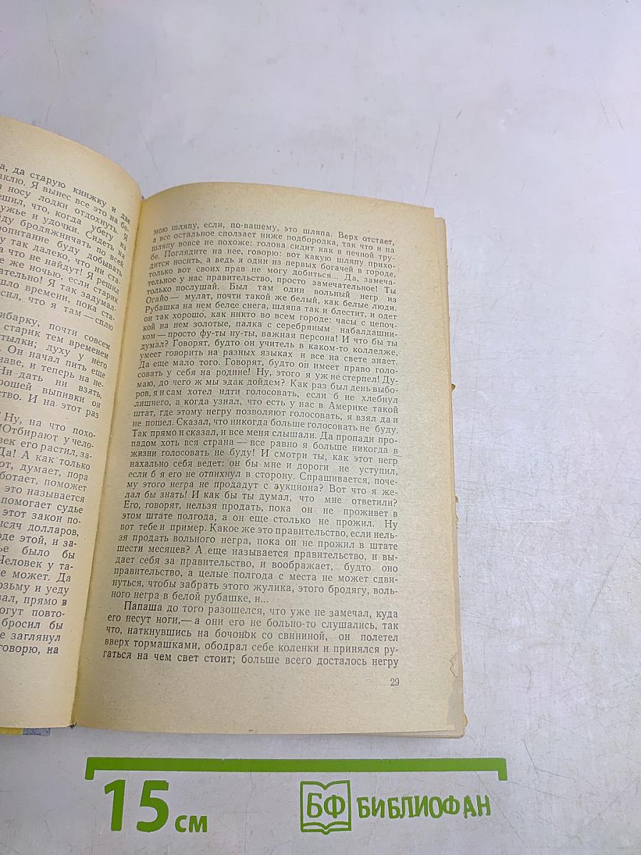 Приключения Гекльберри Финна. Том Сойер за границей
