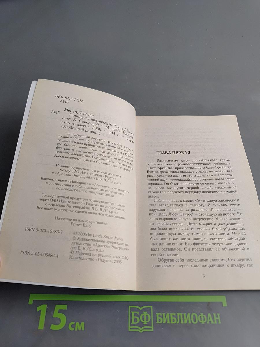 Принцесса под дождем