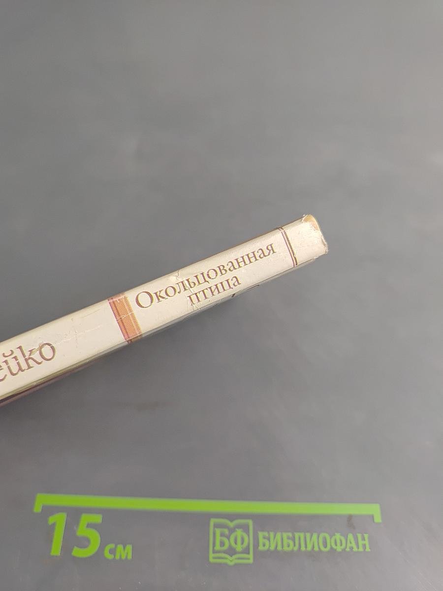 Окольцованная птица
