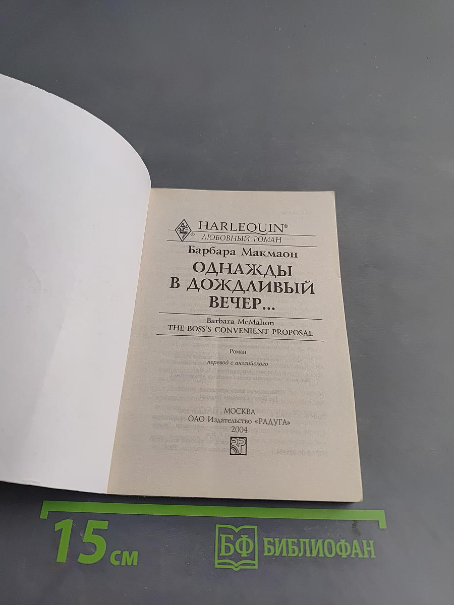 Однажды в дождливый вечер...