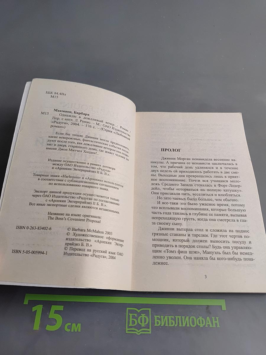 Однажды в дождливый вечер...