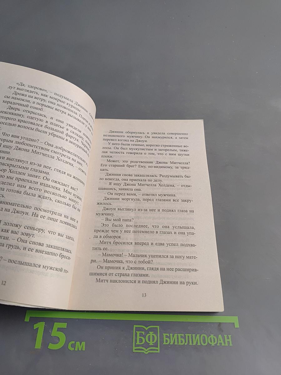 Однажды в дождливый вечер...