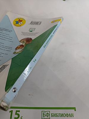 Окружающий мир 2 класс, Часть 2