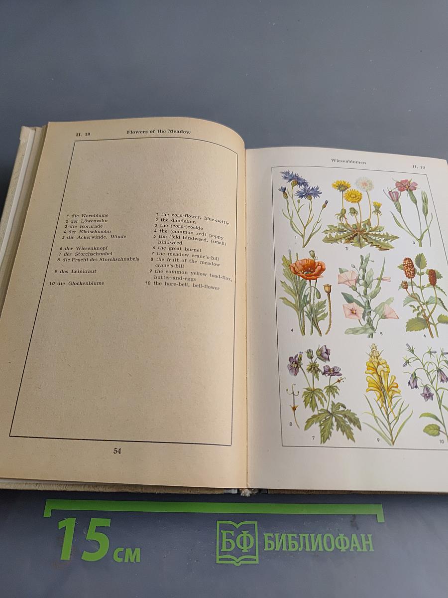 Bildwörterbuch Deutsch und Englisch