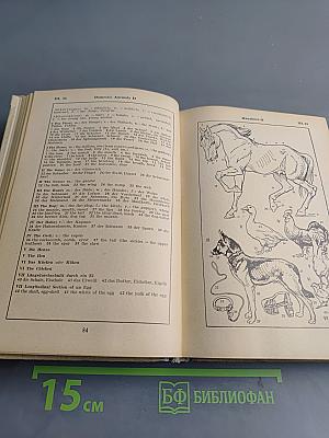 Bildwörterbuch Deutsch und Englisch