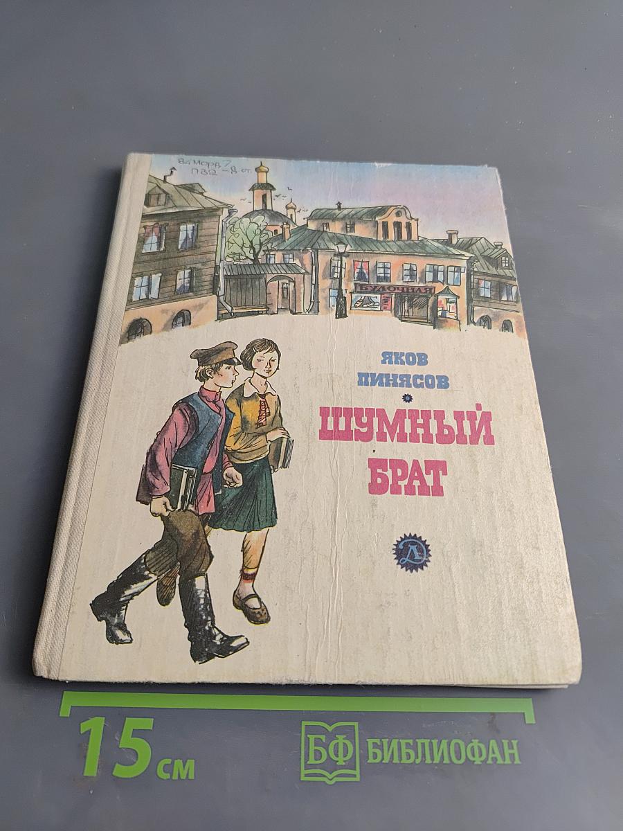 Шумный брат