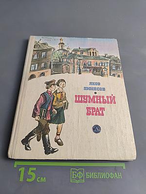 Шумный брат