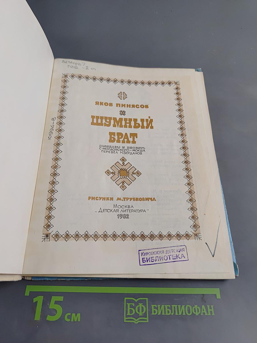 Шумный брат