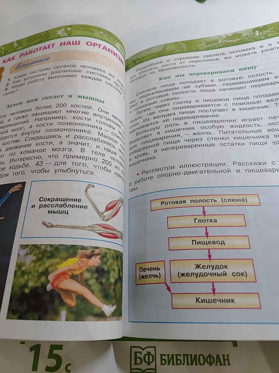 Окружающий мир 3 класс, Часть 2