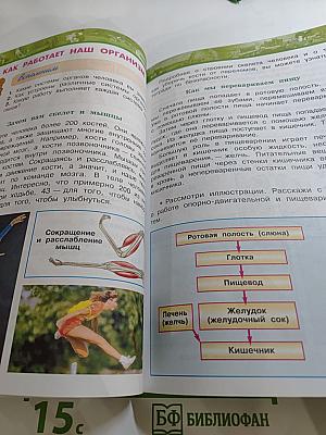 Окружающий мир 3 класс, Часть 2
