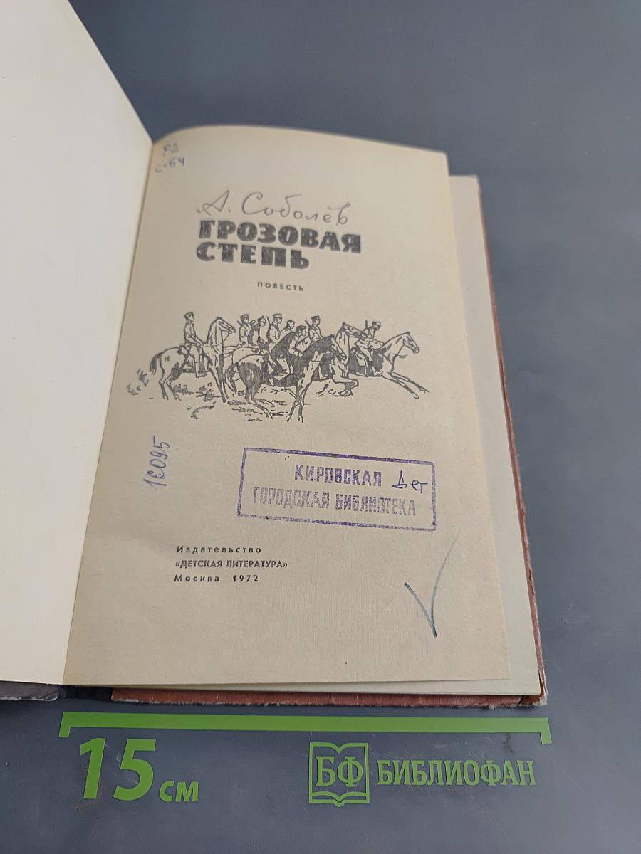 Грозовая степь