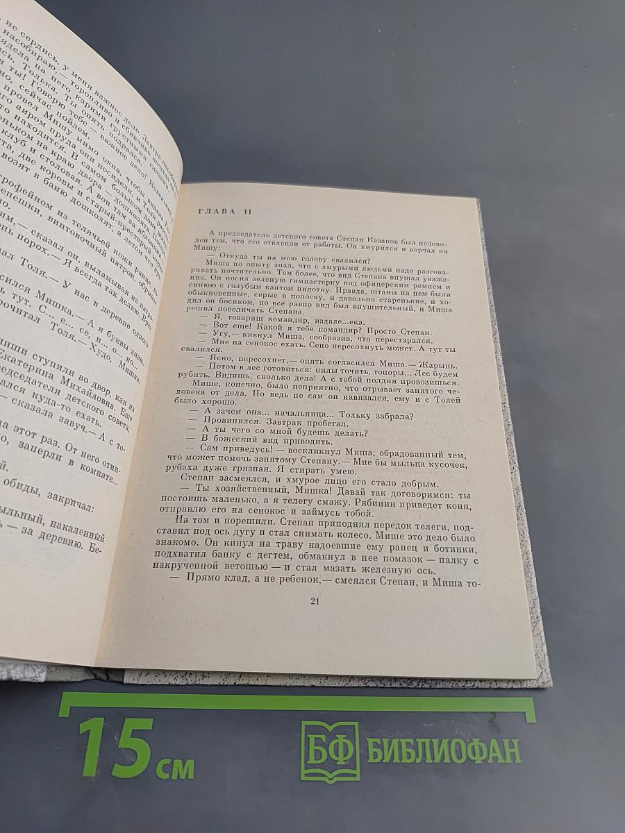 Как жить будете, мальчики?