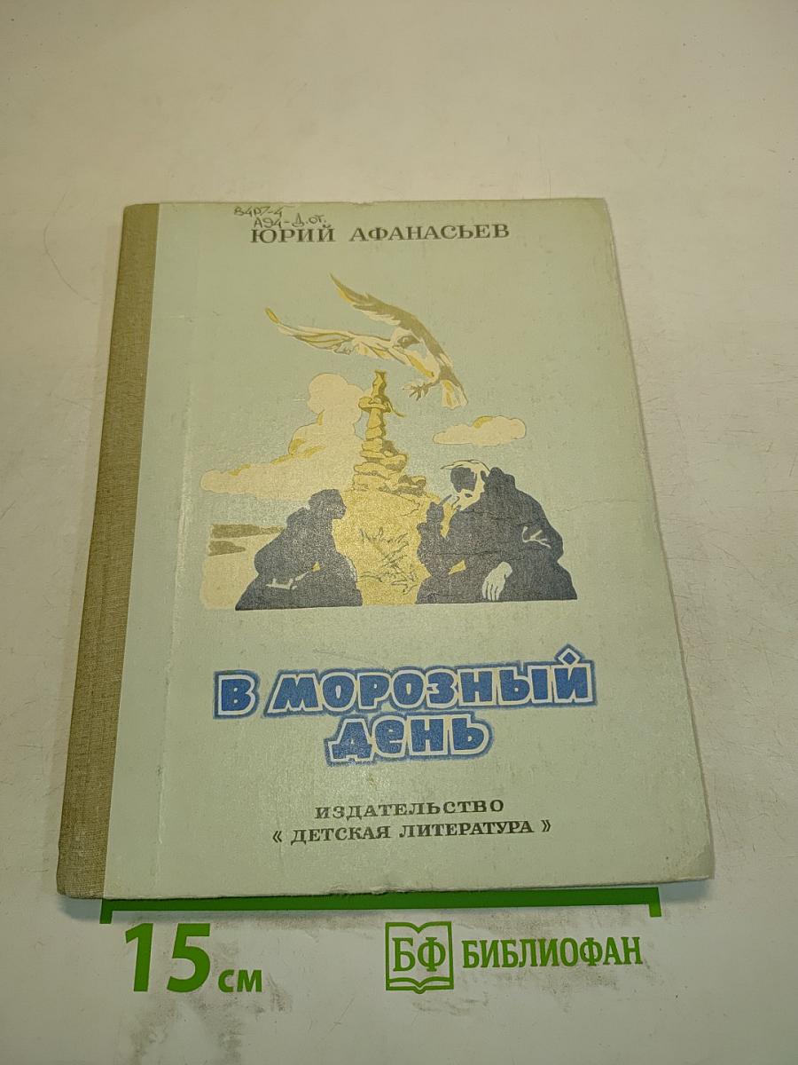 В морозный день