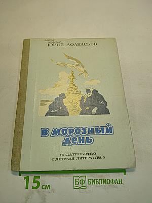 В морозный день