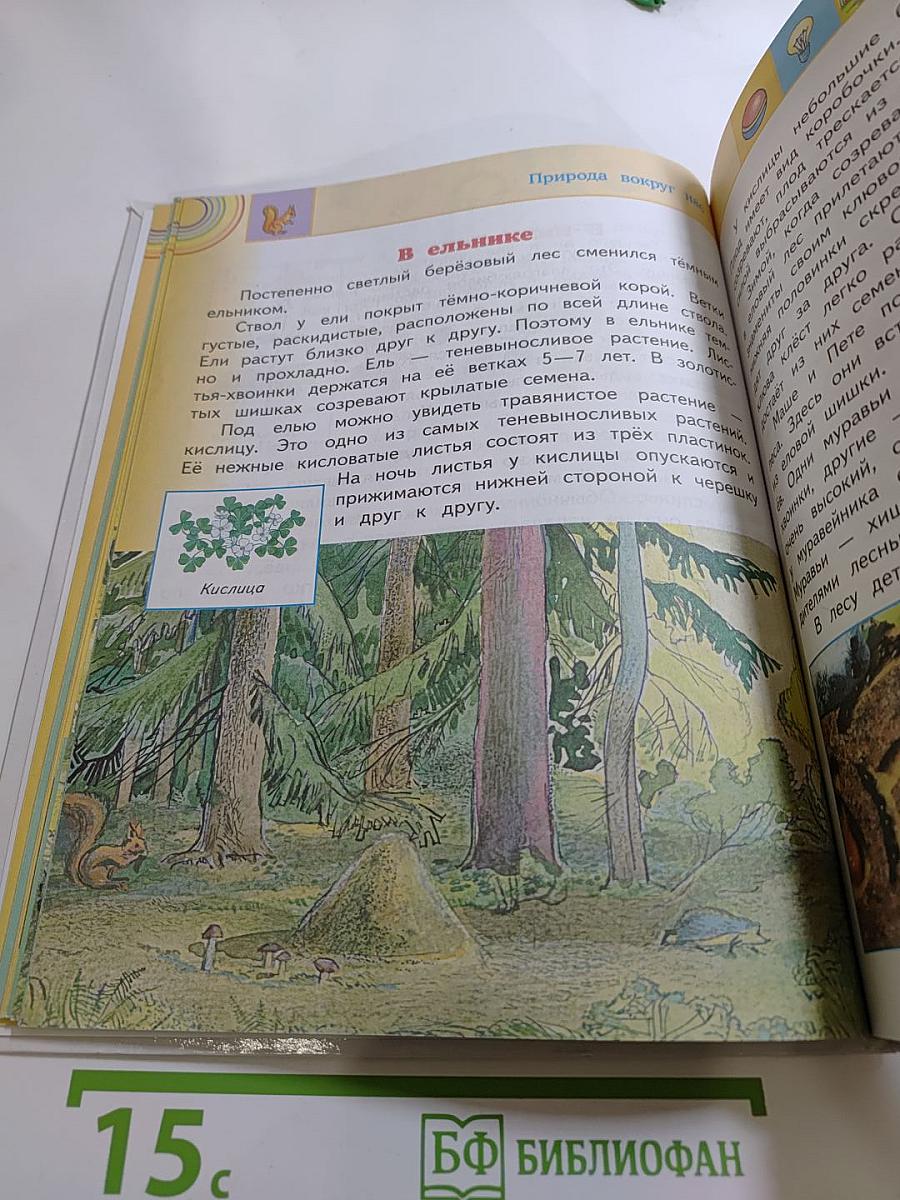 Окружающий мир. 2 класс. Часть 2