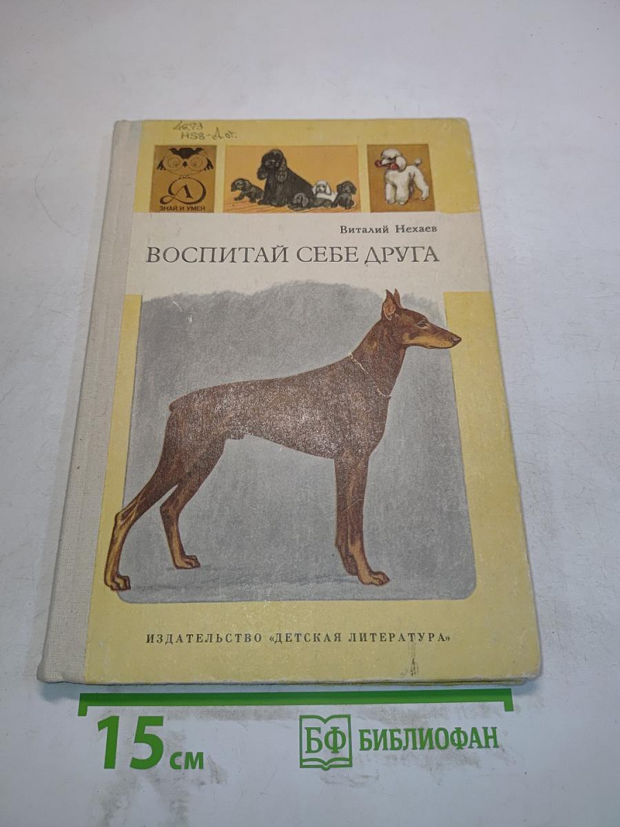 Воспитай себе друга