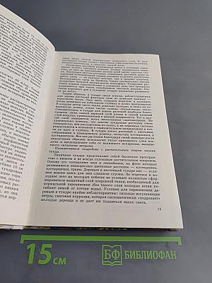 Растительный мир нашей Родины