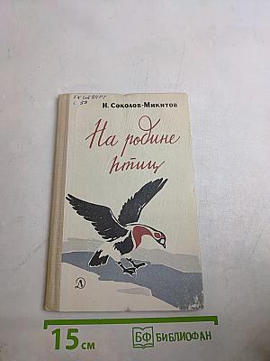 На родине птиц