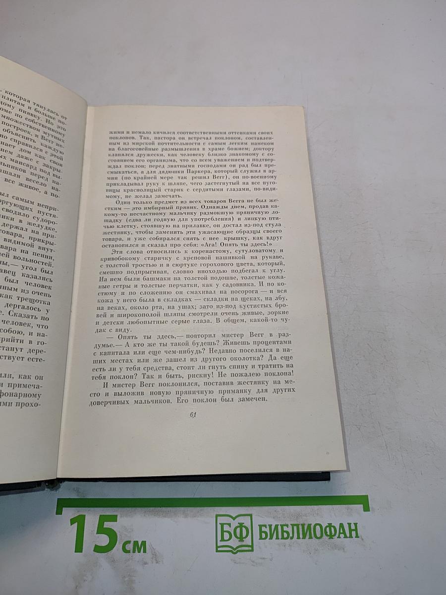 Собрание сочинений. Том двадцатый четвертый. Наш общий друг. Книга первая и вторая