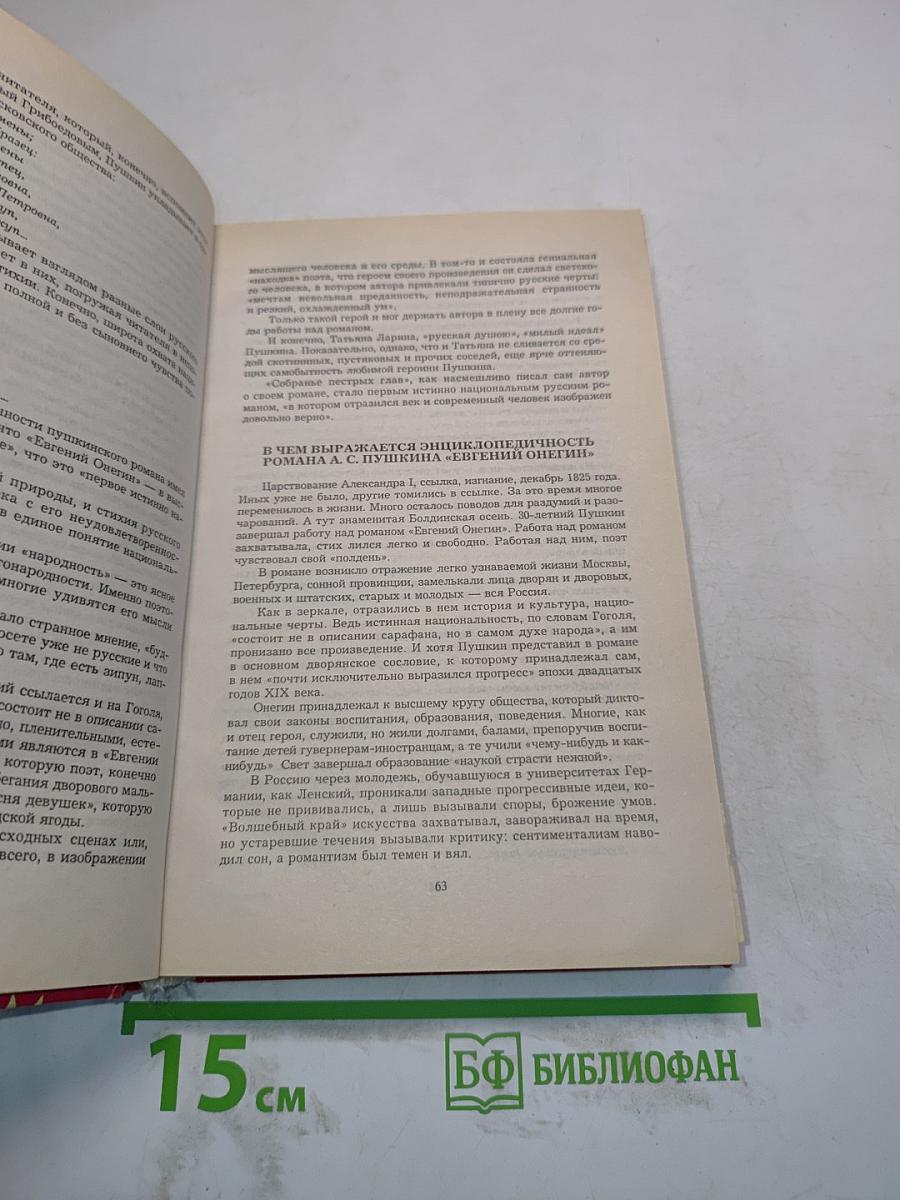Сочинения по русской литературе для школьников