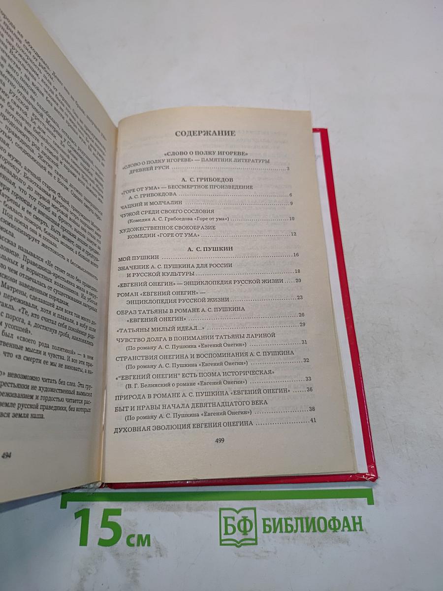 Сочинения по русской литературе для школьников