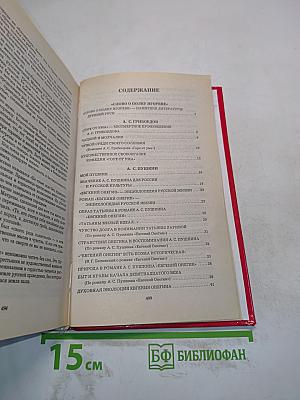 Сочинения по русской литературе для школьников