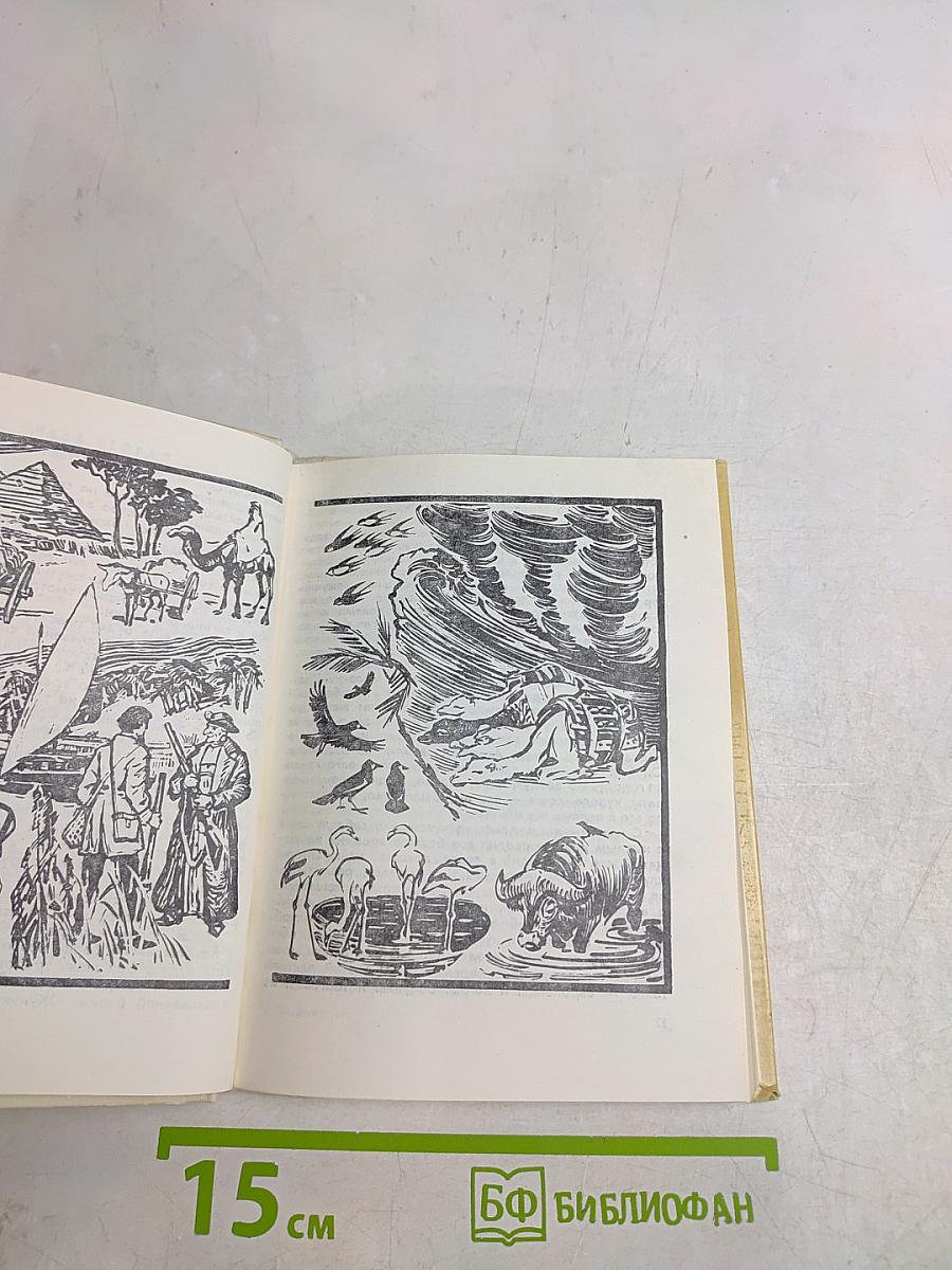 Необыкновенный охотник