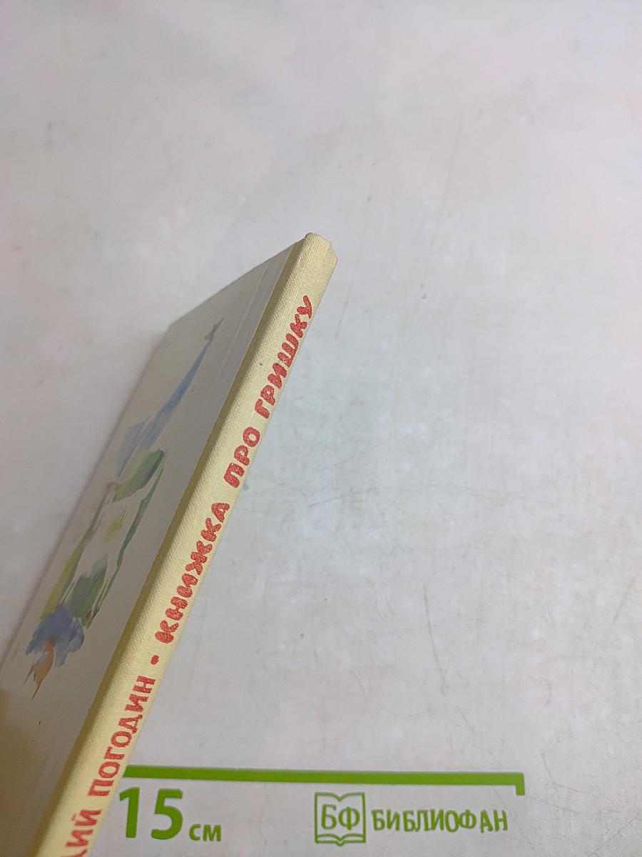 Книжка про Гришку