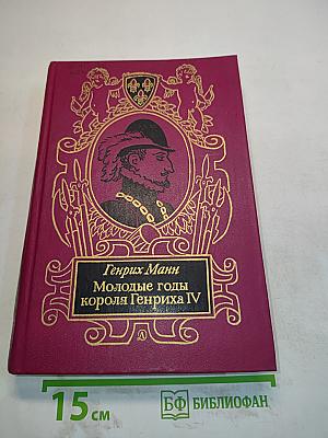 Молодые годы короля Генриха IV