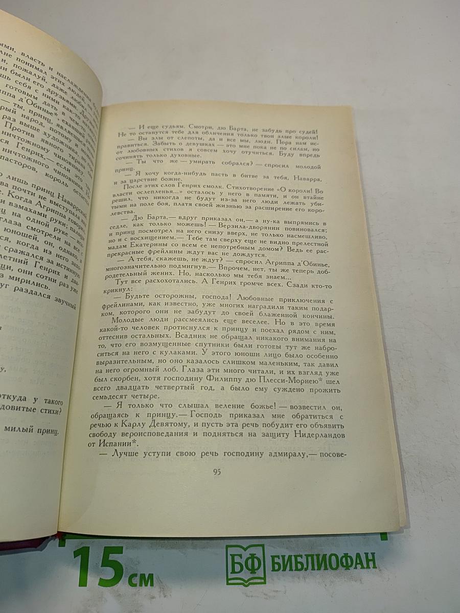 Молодые годы короля Генриха IV