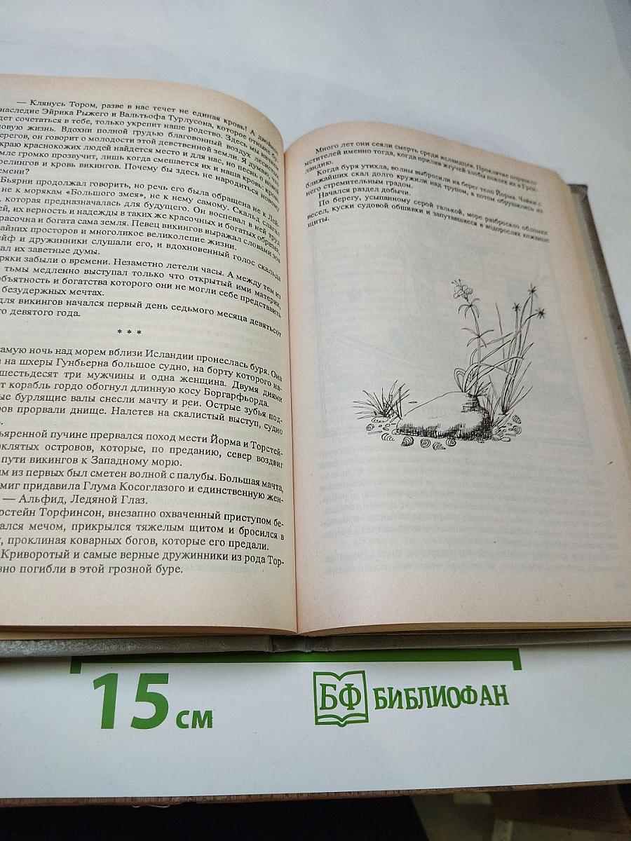 Поход викингов. Викинги и индейцы
