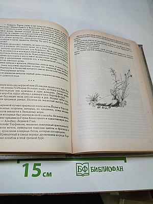 Поход викингов. Викинги и индейцы