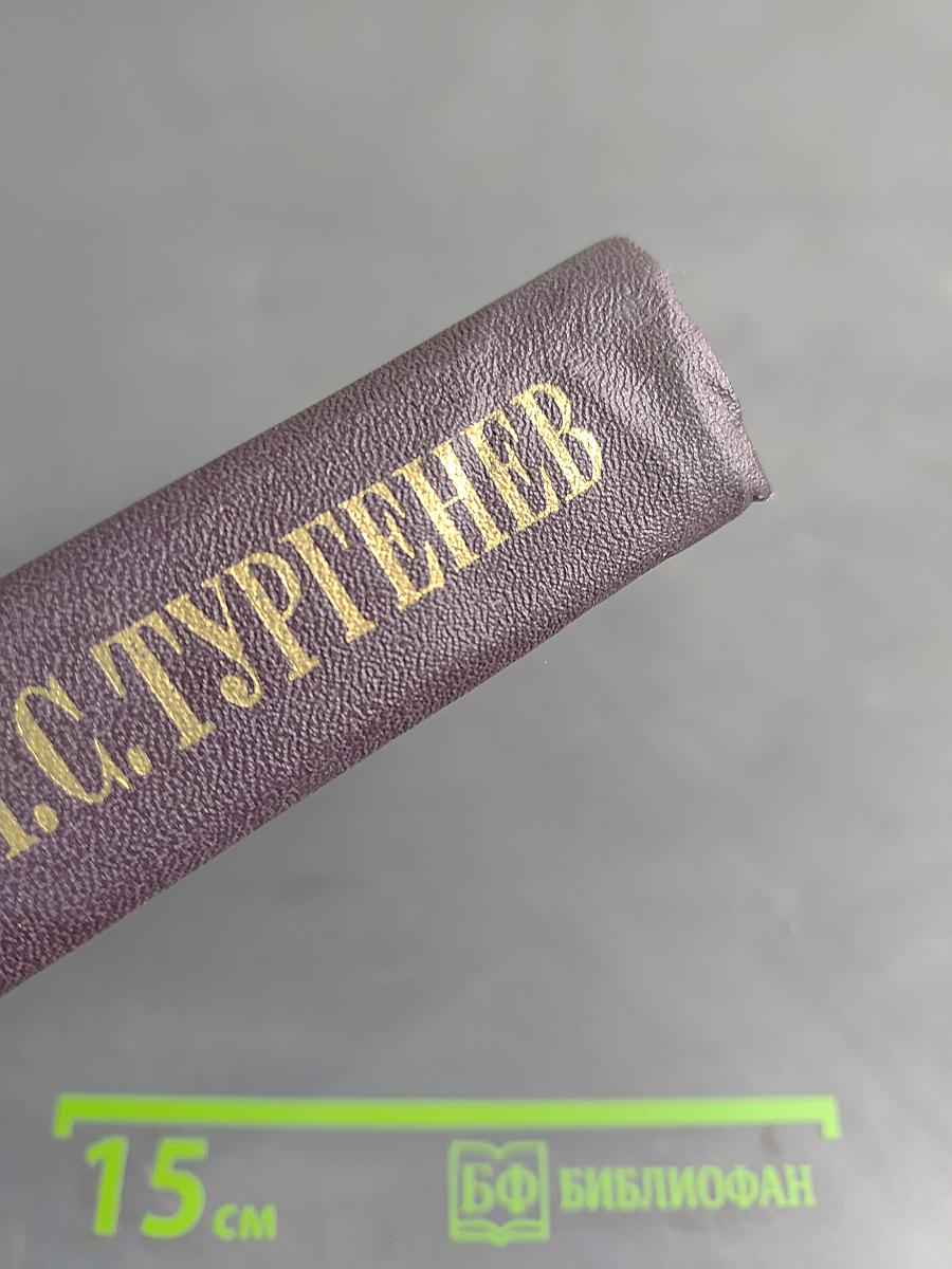 Сочинения. Том шестой. Дворянское гнездо. Накануне. Первая любовь