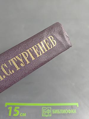 Сочинения. Том шестой. Дворянское гнездо. Накануне. Первая любовь