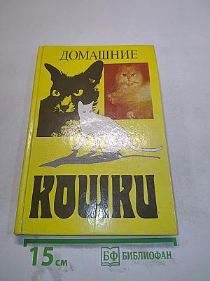 Домашние кошки