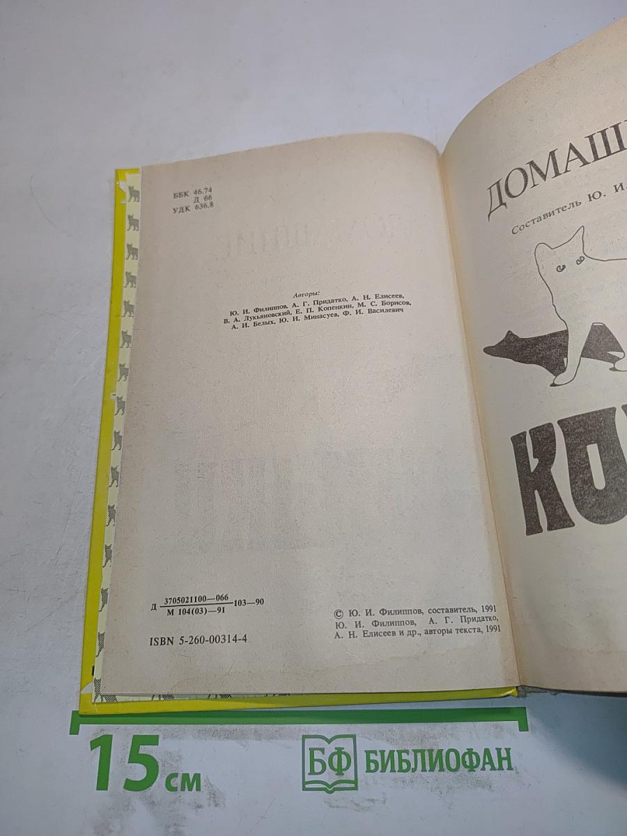 Домашние кошки