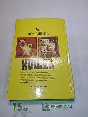 Домашние кошки