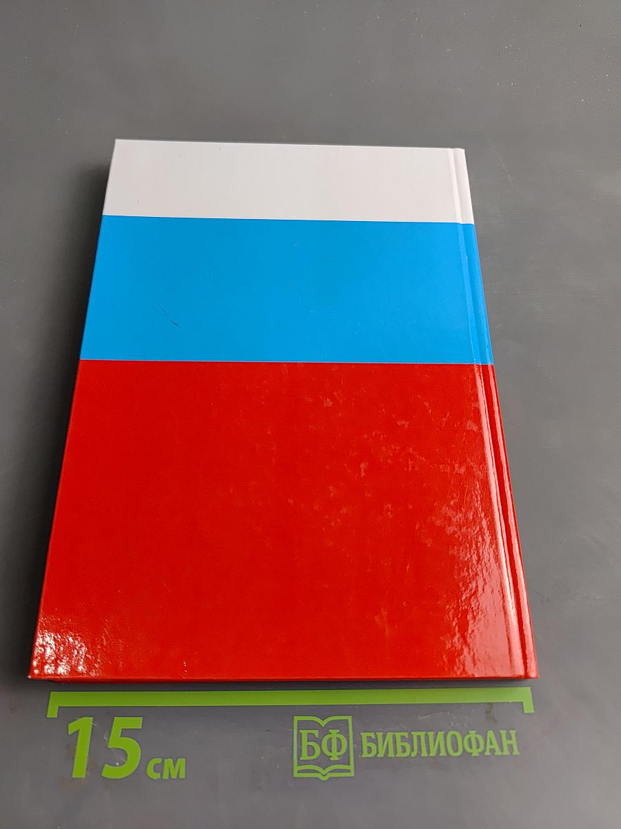 Я выбираю Россию. Пособие по избирательному праву для старшеклассников Ленинградской области. Часть 2