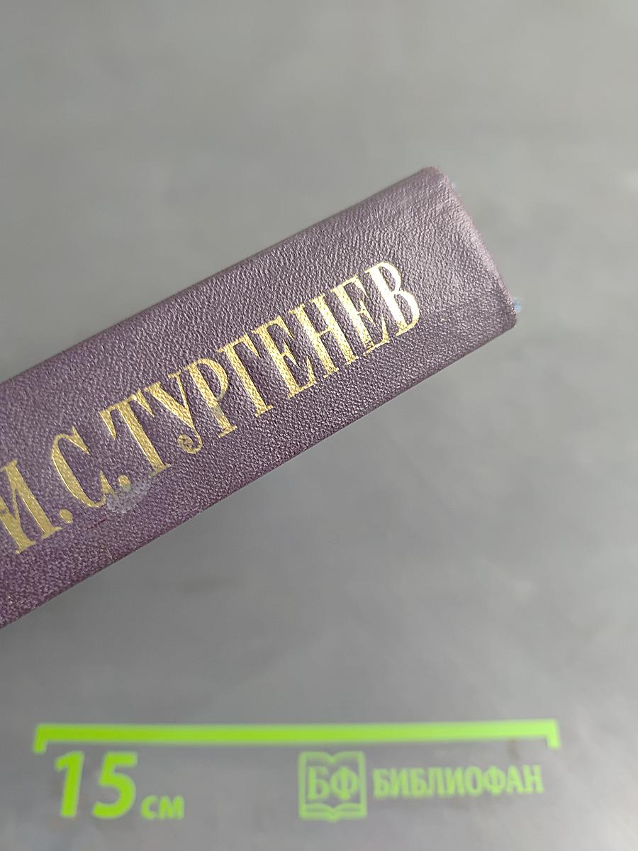 Сочинения. Том седьмой. Отцы и дети. Повести и рассказы. Дым